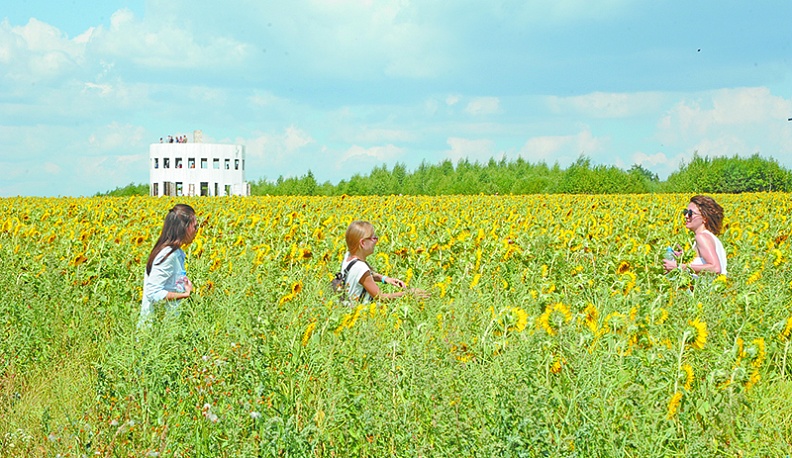 А вау-эффекта нет...