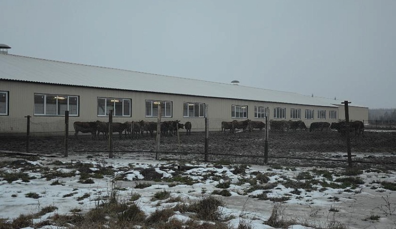 Когда сытно – не холодно