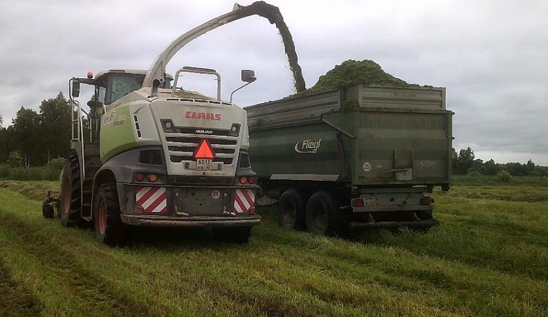В Куйбышевском районе ООО «Русский сыр» заготавливает на зиму корма