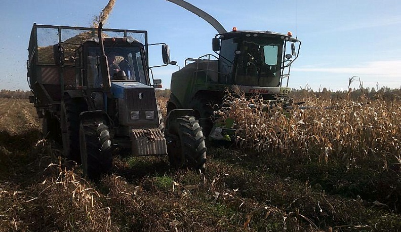 В Куйбышевском районе завершается заготовка кормов