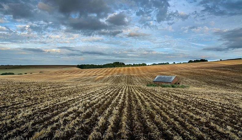 Не менее 20 тысяч гектаров сельхозземель вновь введут в оборот в Калужской области