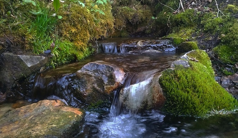 Минприроды Калужской области рассказало о состоянии природных ресурсов