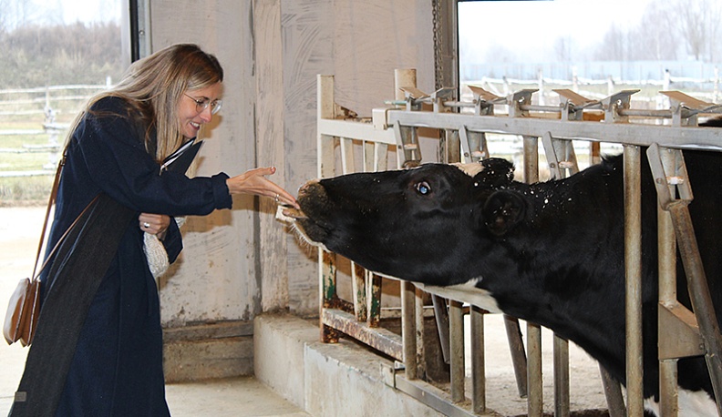 Представители Нидерландов увидели работу голландских технологий на калужской ферме