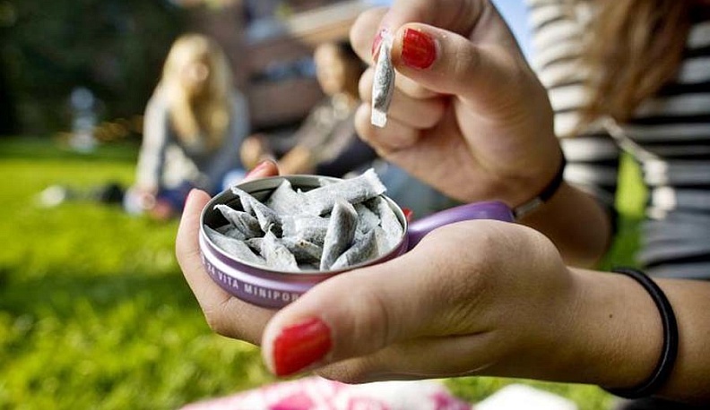 Директор школы в Боровском районе пожаловалась в полицию на торговцев снюсов