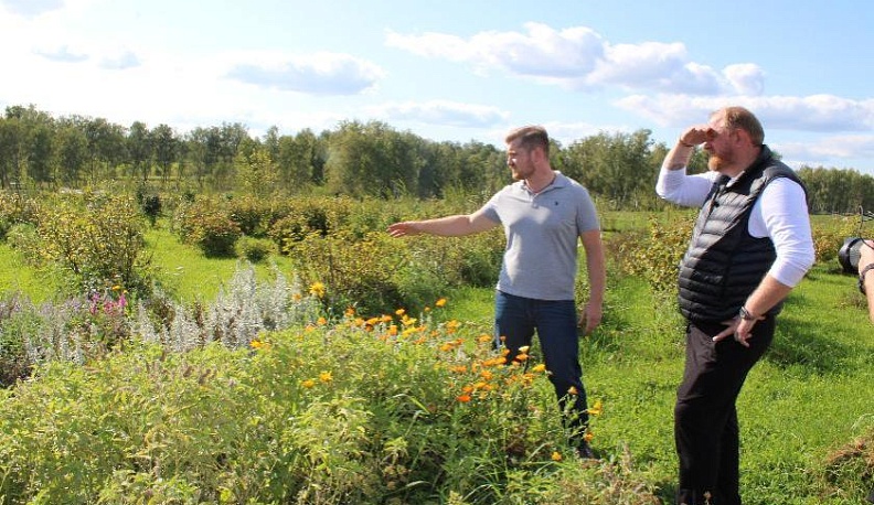 Всё в порядке, шеф!