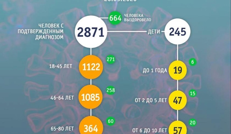 Среди выявленных в Калужской области случаев коронавирусной инфекции 245 составляют дети