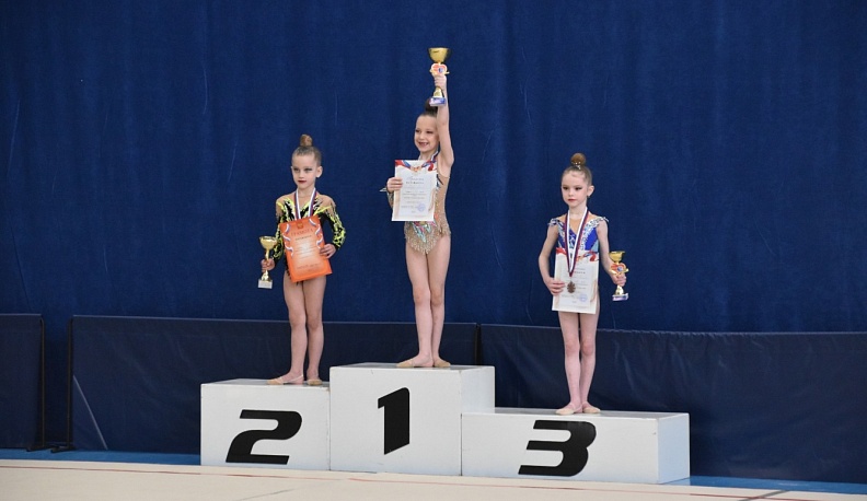 В Людинове прошло открытое Первенство района по художественной гимнастике 