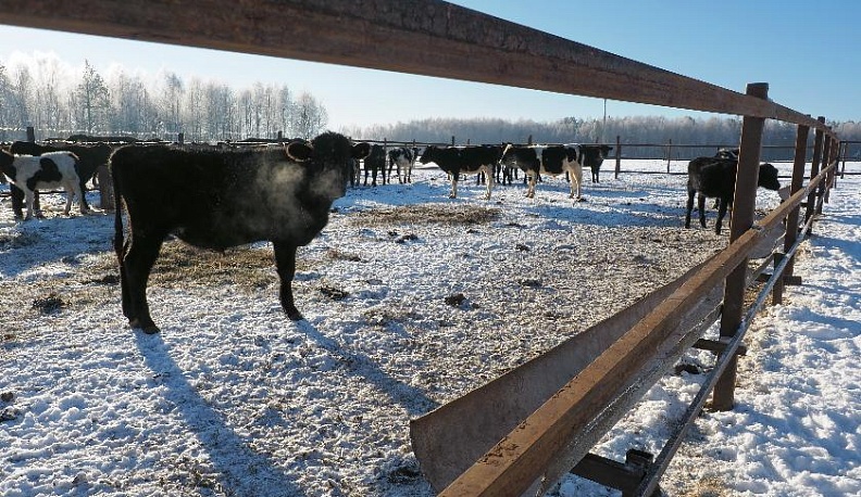 Операция «Кооперация» 