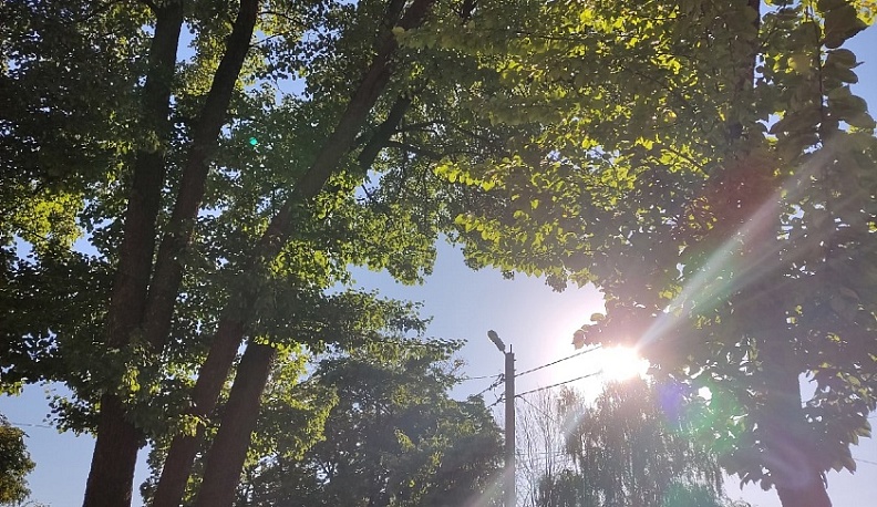 В Калуге продолжает держаться аномальная жара