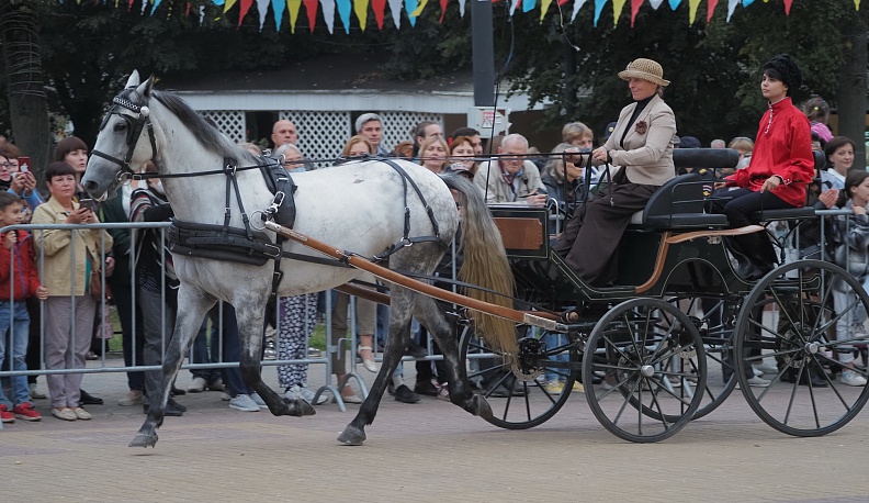 Шоу Орловских рысаков и конных экипажей открыло VIII театральный фестиваль в Калуге