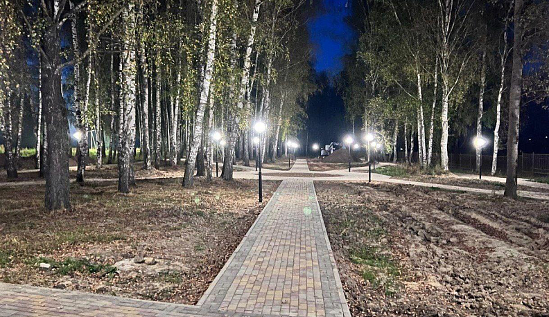 Благоустройство школьной рощи в Ульяново завершат в 2025 году