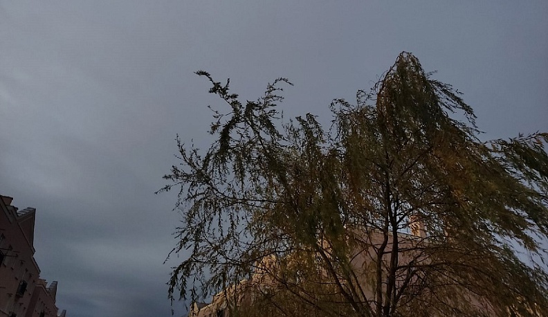 Дождь и туман накроют Калужскую область в пятницу