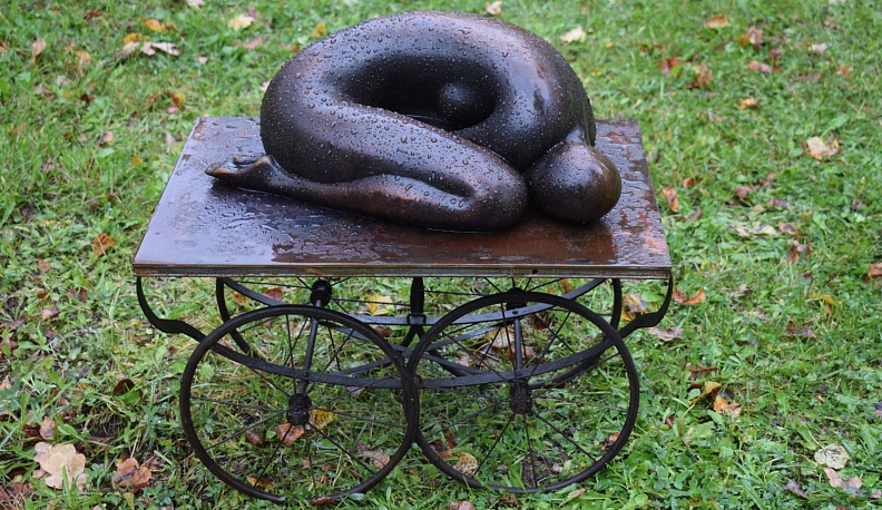 В Тарусе высадили «Сад забытых фруктов»