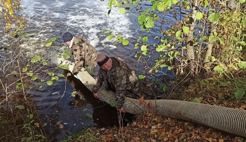 В людиновское озеро Ломпадь запустили не только водоросль хлореллу,  но и растительноядных рыб 