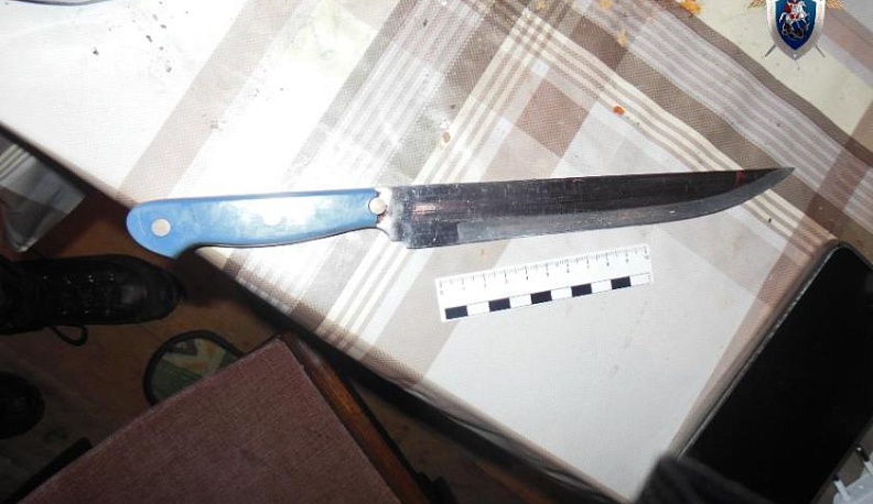 Козельчанка подозревается в убийстве знакомой из-за телефона