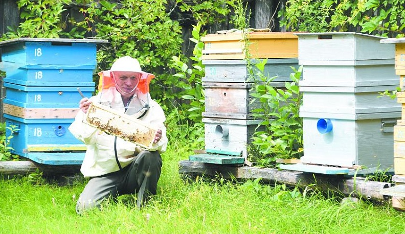 Золотой, натуральный, целебный