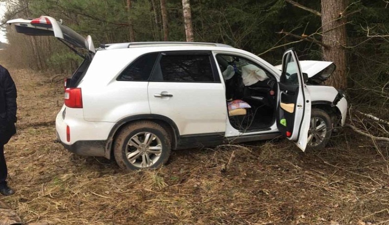 В Кировском районе " Киа" врезалась в дерево