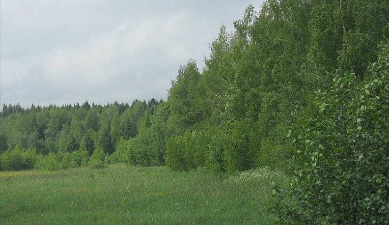 В Калужской области поставлено на кадастровый учет 13 региональных памятников природы