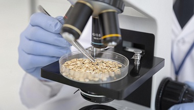 Калужские специалисты проверили более 88 тонн хлопьев для экспорта