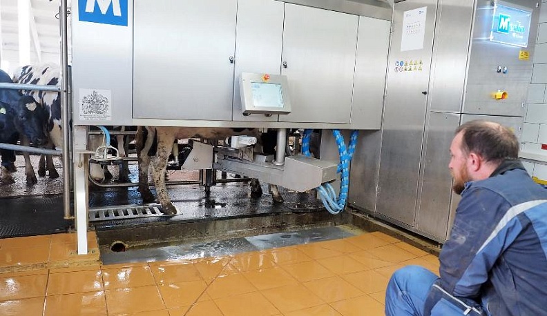 Роботы заменили доярок на десятках калужских ферм 