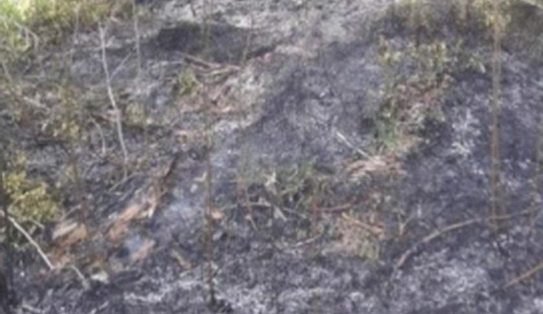 Лес дважды за сутки горел под Калугой