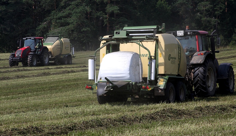 Готовь корма летом