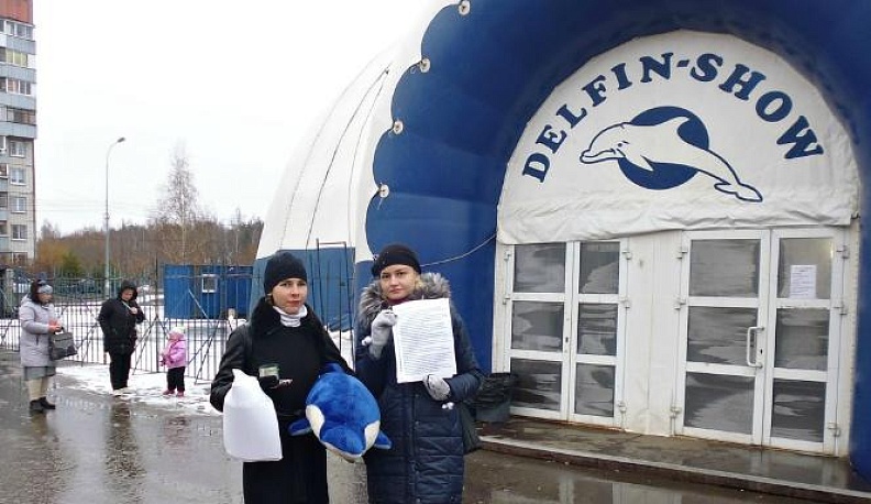 Есть контакт?..