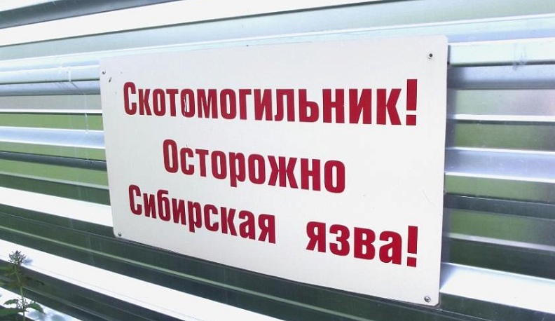 Козельские скотомогильники с сибирской язвой поставят на кадастровый учет