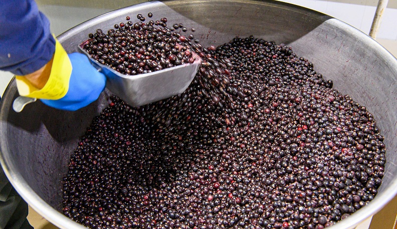 Владислав Шапша посетил предприятия Боровского района