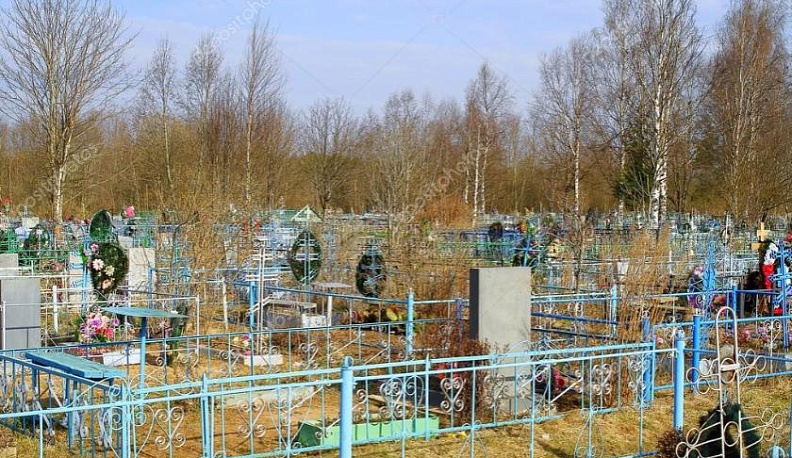 «Лесные» кладбища поставят на кадастровый учет