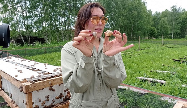 Чудо с домиком на спине