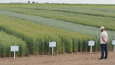 В 2026 году в Калужской области будет возвращено в оборот 20 тыс. гектаров сельхозугодий