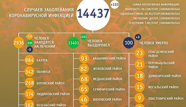 За сутки в Калужской области от коронавируса выздоровел 241 человек