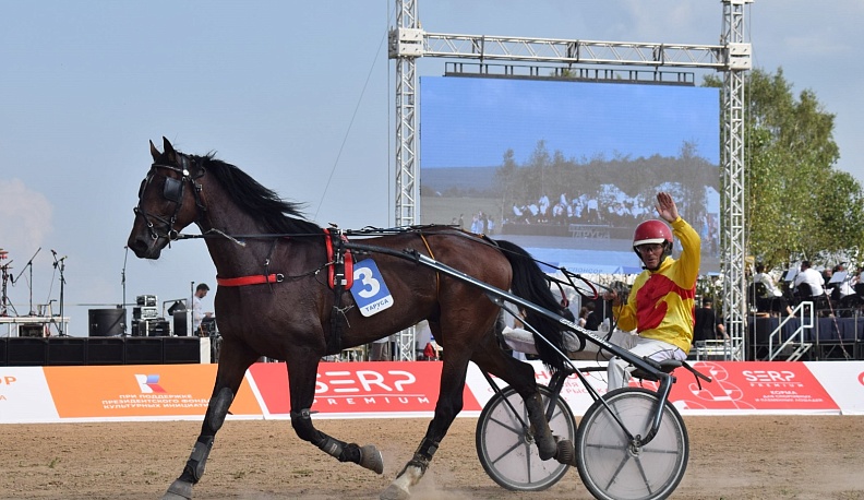 В Тарусском районе прошёл фестиваль орловского рысака