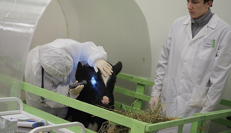 К профессиям будущего