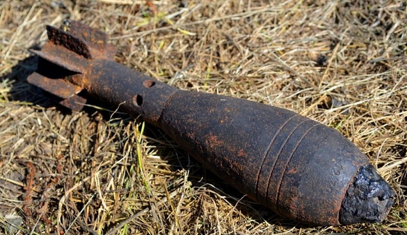 В Жуковском районе у местного жителя нашли на участке мину
