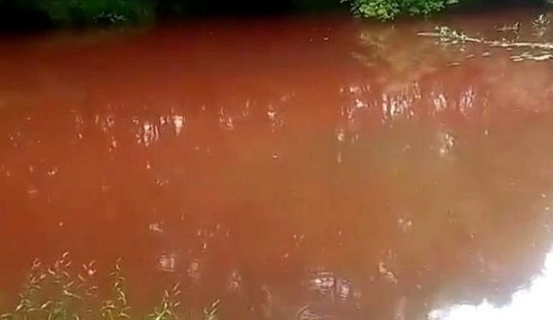 Геннадий Скляр прокомментировал ситуацию с изменением цвета воды в реке Шане