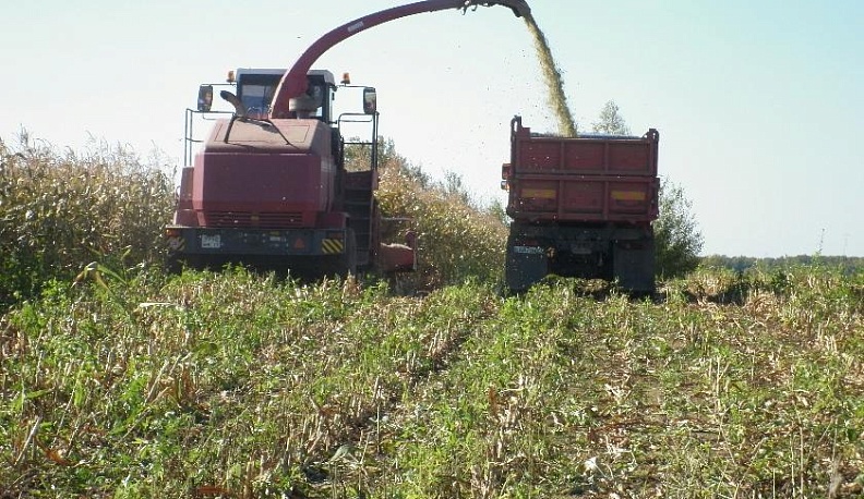 Быть первыми