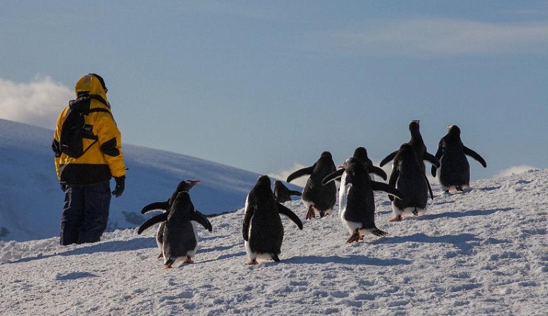 Вся палитра Южного полюса в Медыни