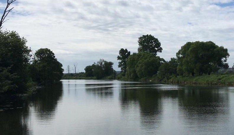 В Жуковском районе прошел Международный день очистки водоёмов