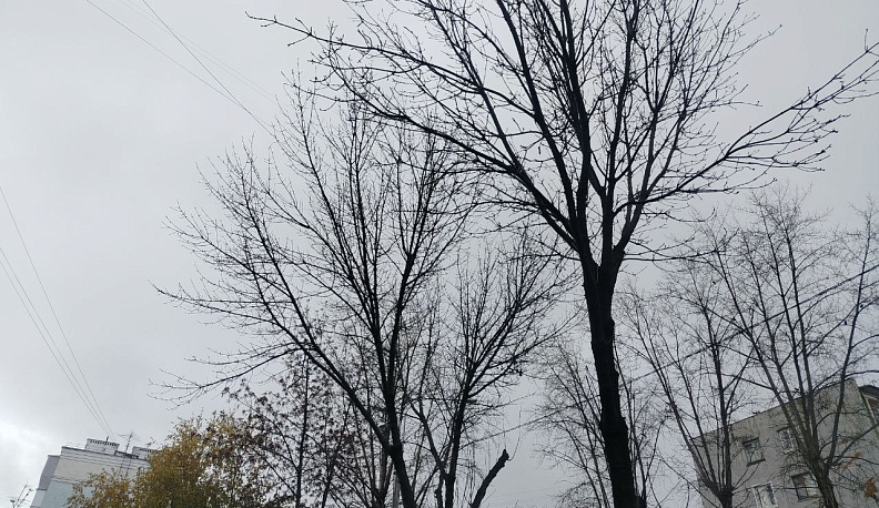 Вторник в Калуге будет облачным