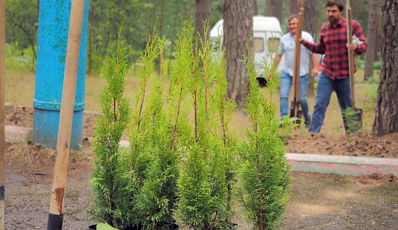 В калужском детском лагере «Белка» посадили «Аллею дружбы»