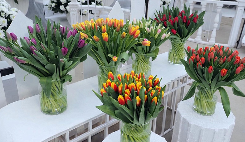 Калужанам рассказали о коротких выходных на Международный женский день