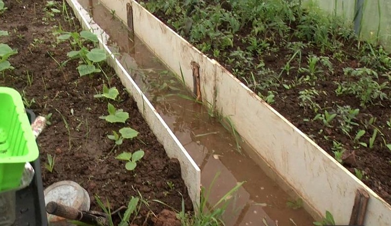 Потоп на Цветочной улице