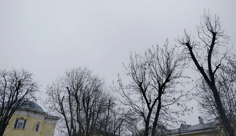 В Калуге удерживается минусовая температура