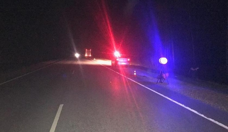 Фура сбила пешехода в Жиздринском районе 