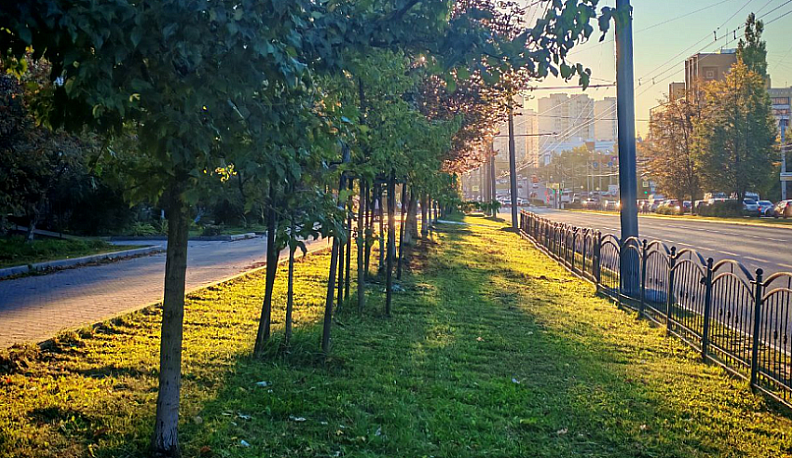 В микрорайоне Кошелев может появится зелёная зона