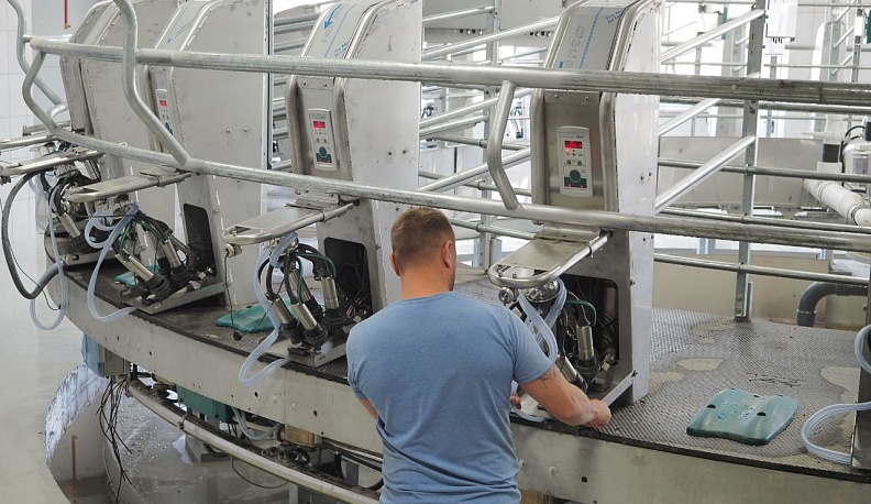 Доильный зал на комплексе «Ти-Эйч Калужский» начал работу в штатном режиме