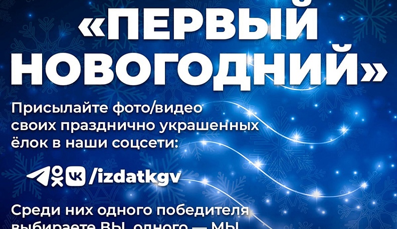 Выбираем  самую красивую ёлочку!