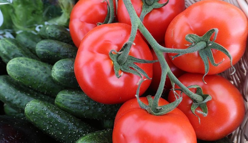 Калужская область лидирует в ЦФО по ценам на огурцы и помидоры